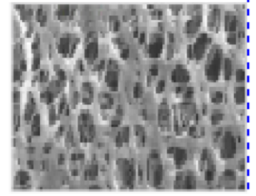 聚醚砜濾芯 聚醚砜濾芯