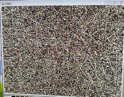 不銹鋼燒結(jié)網(wǎng)放大圖 不銹鋼燒結(jié)網(wǎng)放大圖